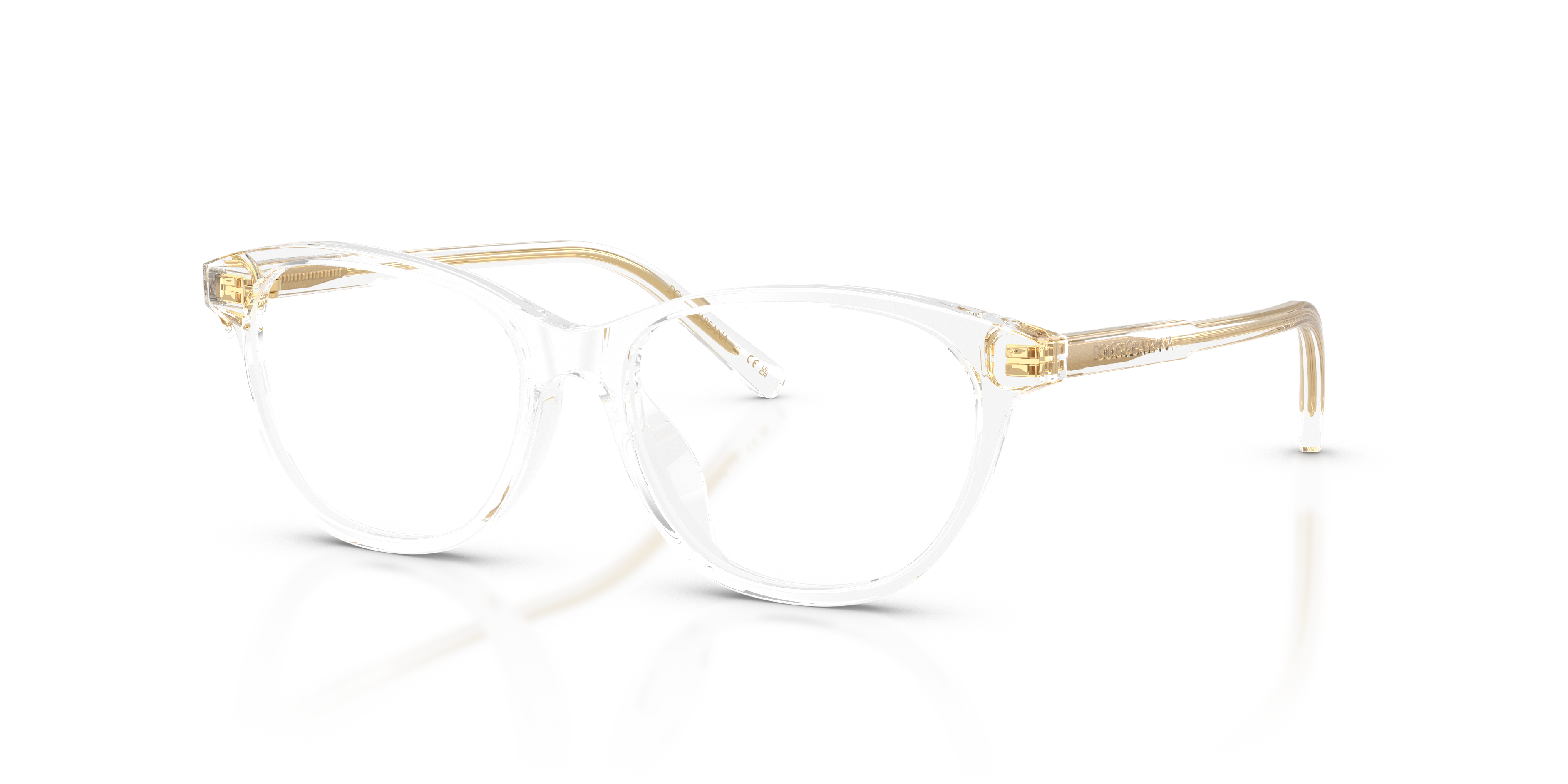 Dolce & Gabbana DX3002 3133  